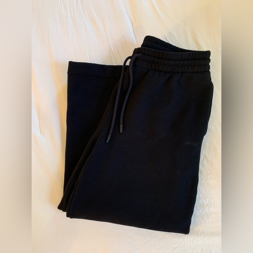 Aritzia Cozy Fleece Sweatpants
